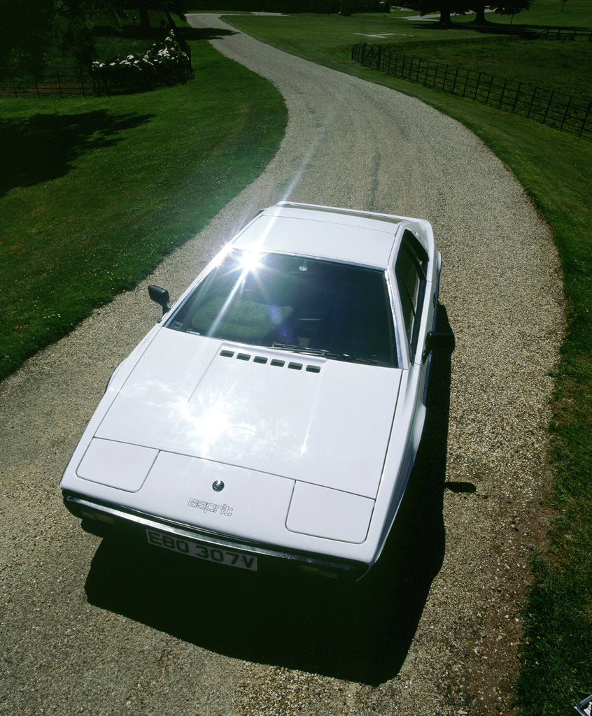 Detail of 1980 Lotus Esprit S2 by Unknown