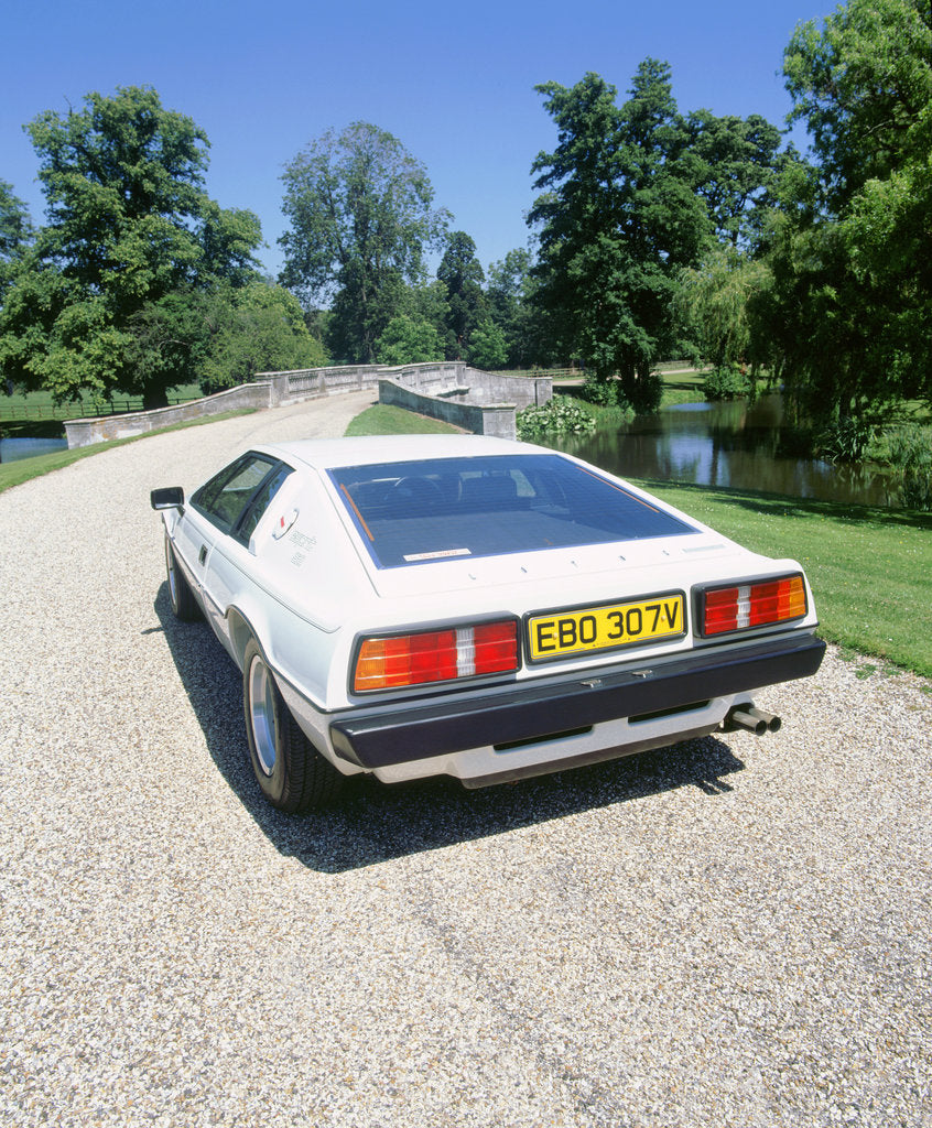 Detail of 1980 Lotus Esprit S2 by Unknown