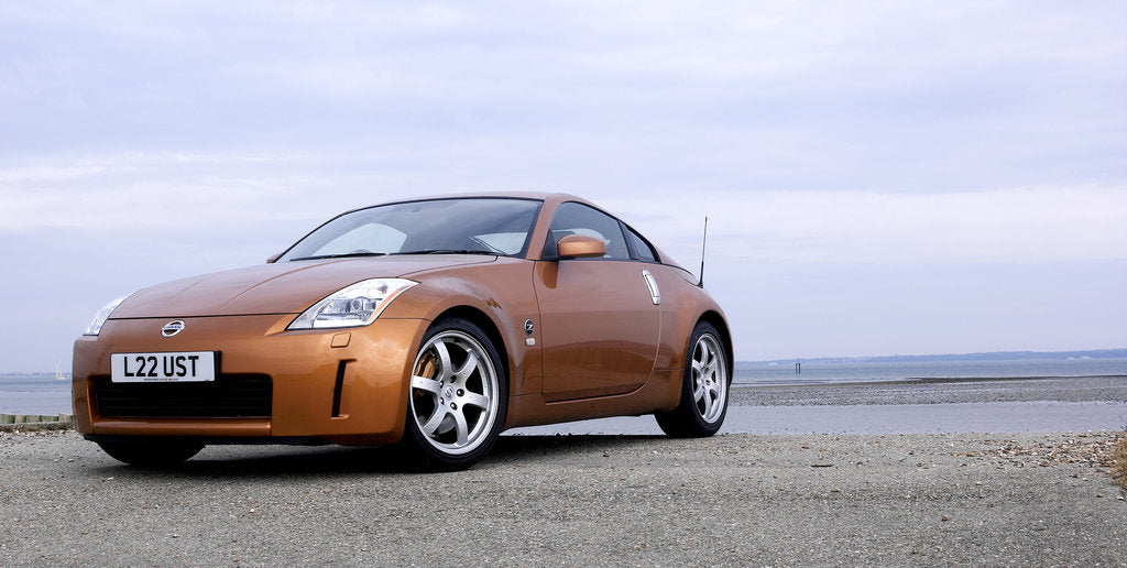 Detail of 2004 Nissan 350Z by Unknown