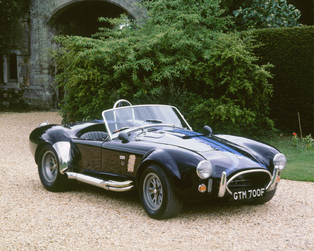 Detail of 1965 AC Shelby Cobra 7 litre by Unknown