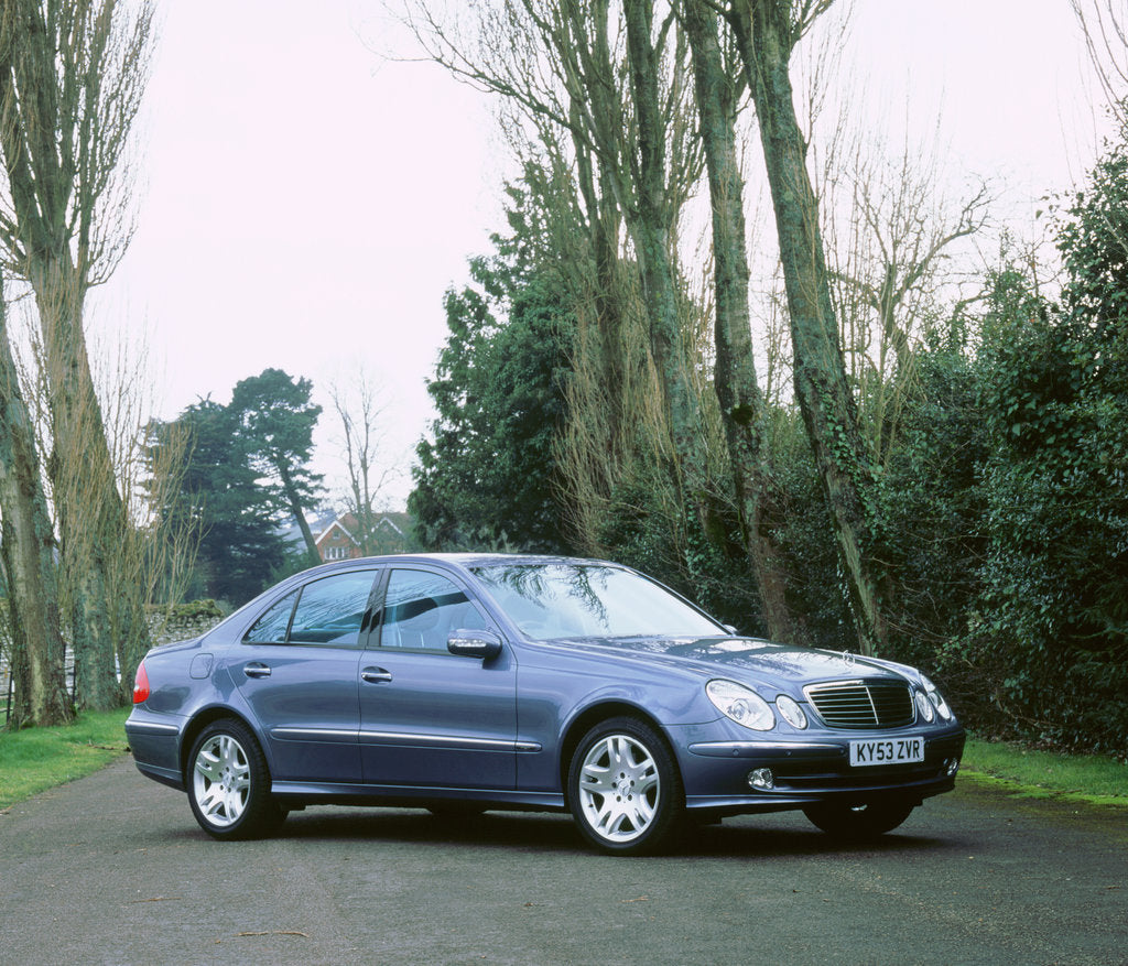 Detail of 2003 Mercedes Benz E320 cdi Avantgarde by Unknown
