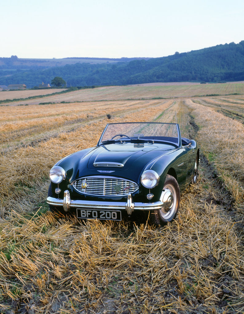 Detail of 1961 Austin Healey 3000 mk1 by Unknown