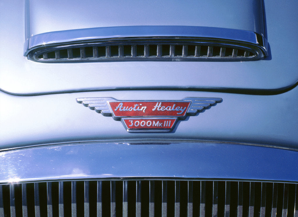 Detail of 1965 Austin Healey 3000 mk3 by Unknown