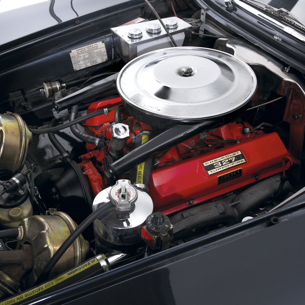 Detail of 1966 Gordon Keeble IT by Unknown