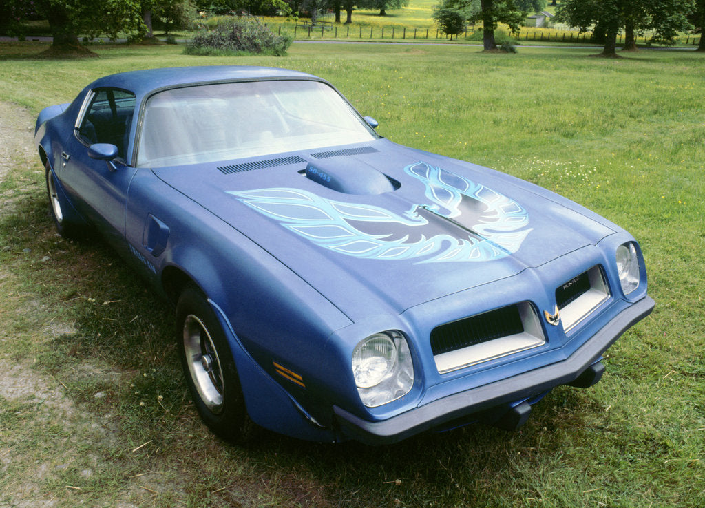 Detail of 1974 Pontiac Trans AM 455 Super Duty by Unknown