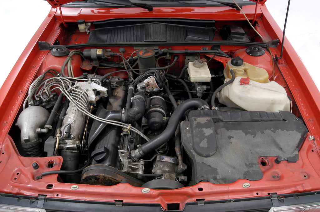 Detail of 1983 Audi Quattro by Unknown