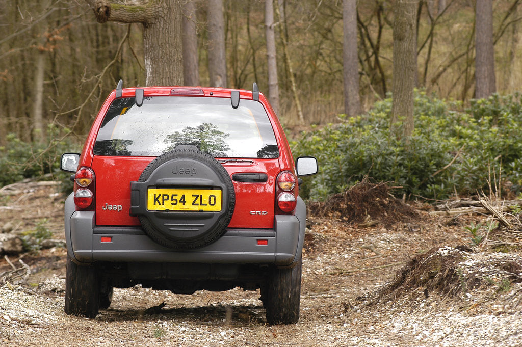 Detail of 2004 Jeep Cherokee by Unknown