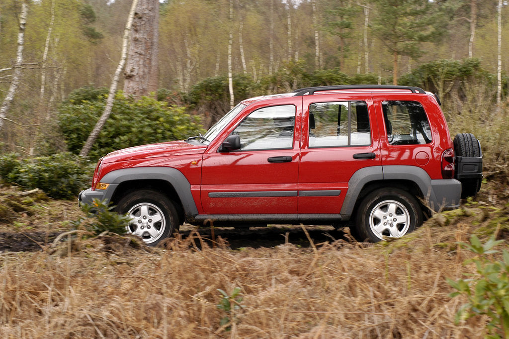 Detail of 2004 Jeep Cherokee by Unknown