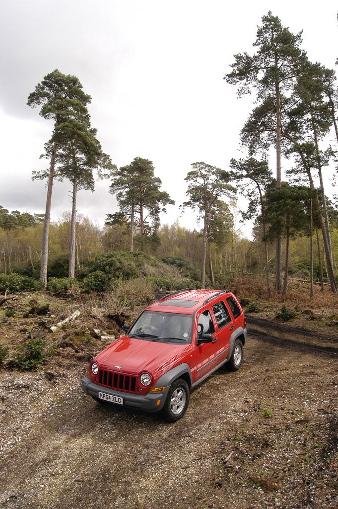 Detail of 2004 Jeep Cherokee by Unknown