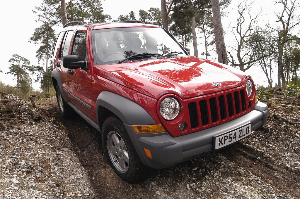 Detail of 2004 Jeep Cherokee by Unknown