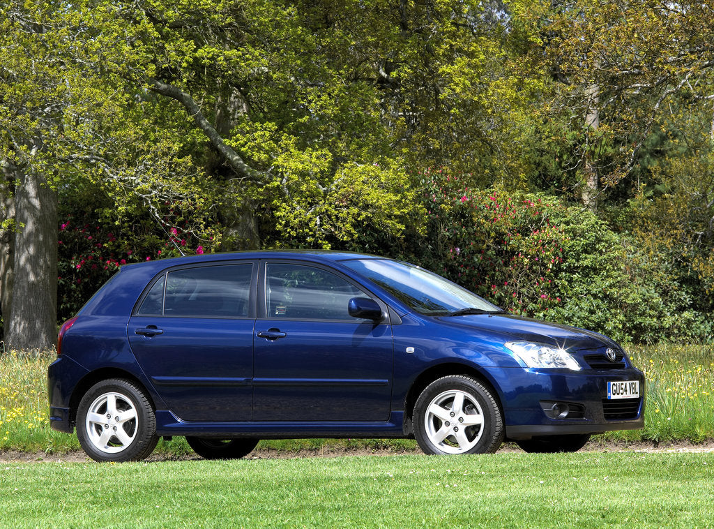 Detail of 2004 Toyota Corolla by Unknown