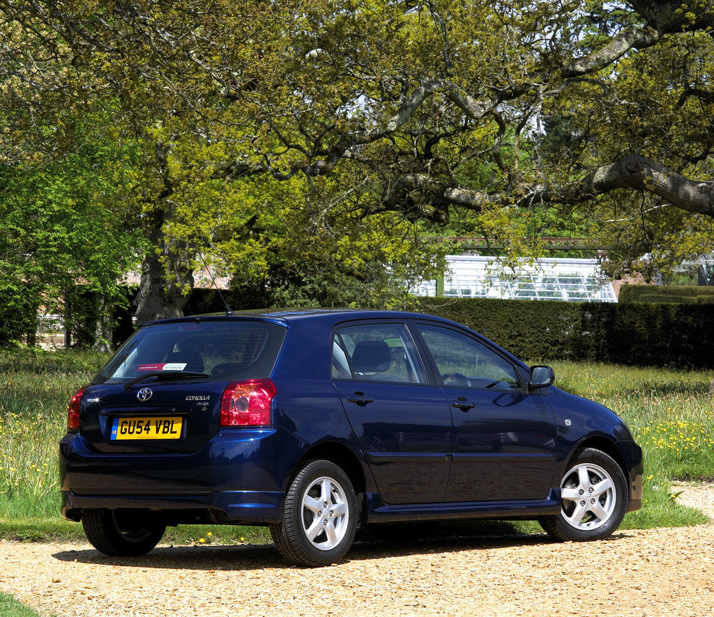 Detail of 2004 Toyota Corolla by Unknown