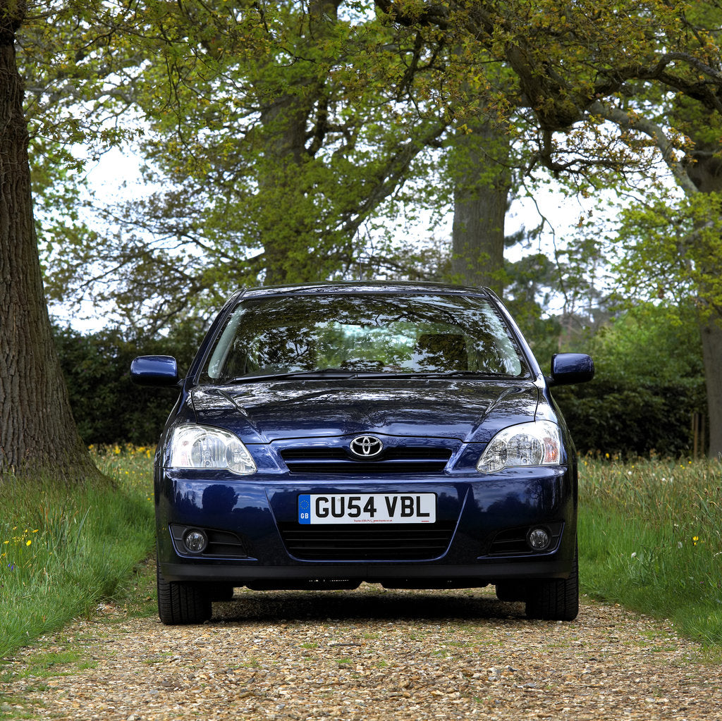 Detail of 2004 Toyota Corolla by Unknown