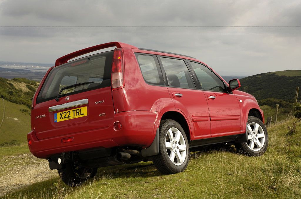Detail of 2005 Nissan X-Trail 2.2dci by Unknown