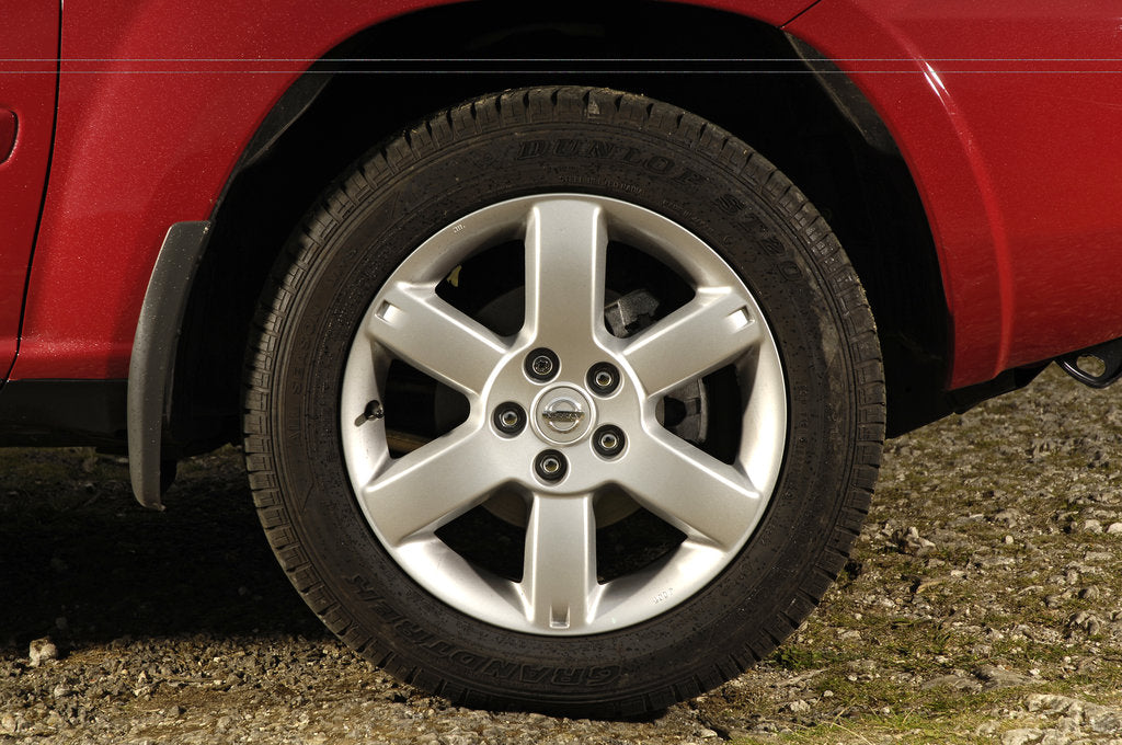 Detail of 2005 Nissan X-Trail 2.2dci by Unknown