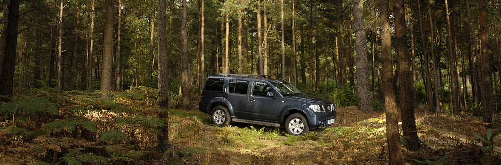 Detail of 2005 Nissan Pathfinder 2.5 Tspec dci by Unknown