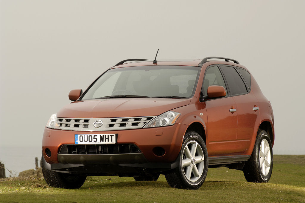 Detail of 2005 Nissan Murano by Unknown