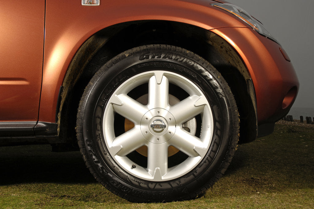 Detail of 2005 Nissan Murano by Unknown