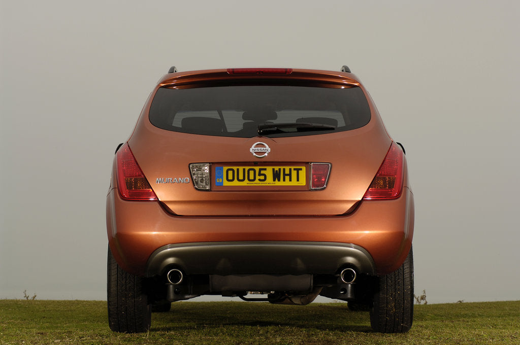 Detail of 2005 Nissan Murano by Unknown