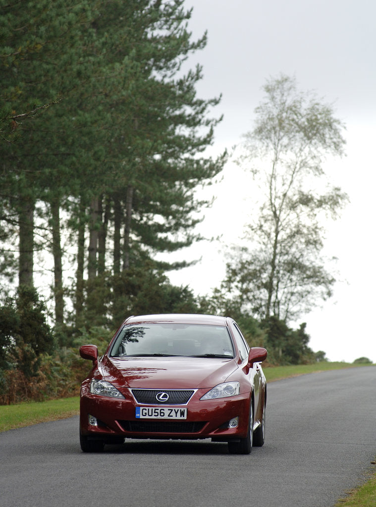 Detail of 2006 Lexus IS 250 by Unknown