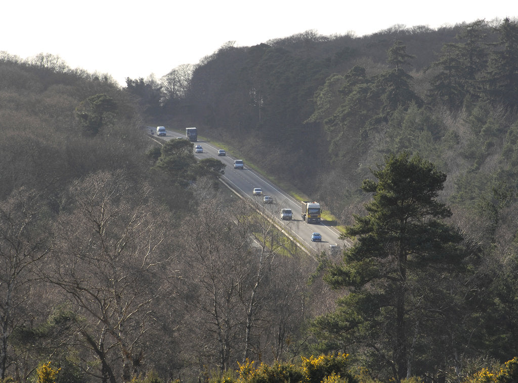 Detail of The A31 Dual Carriageway through New Forest by Unknown