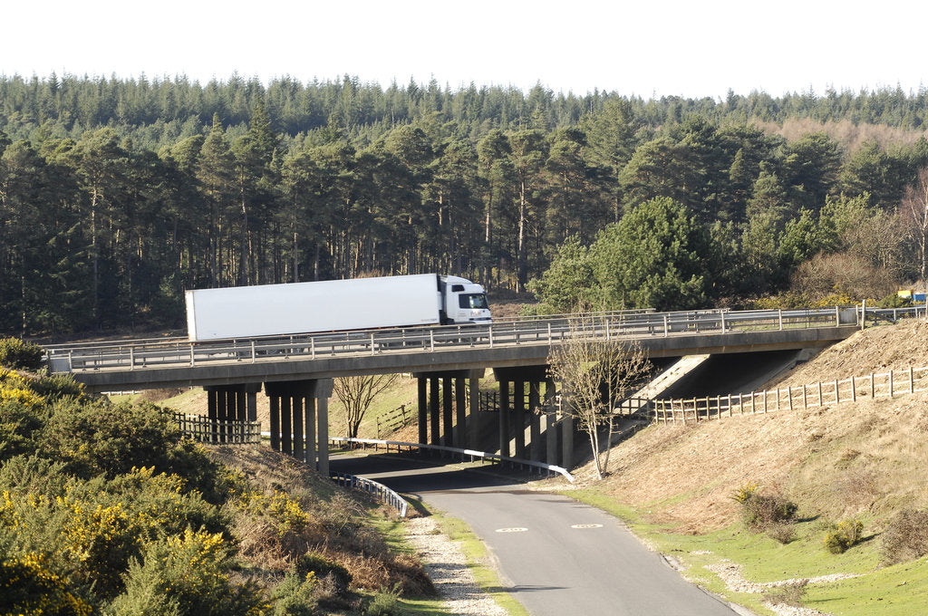 Detail of The A31 Dual Carriageway through New Forest by Unknown