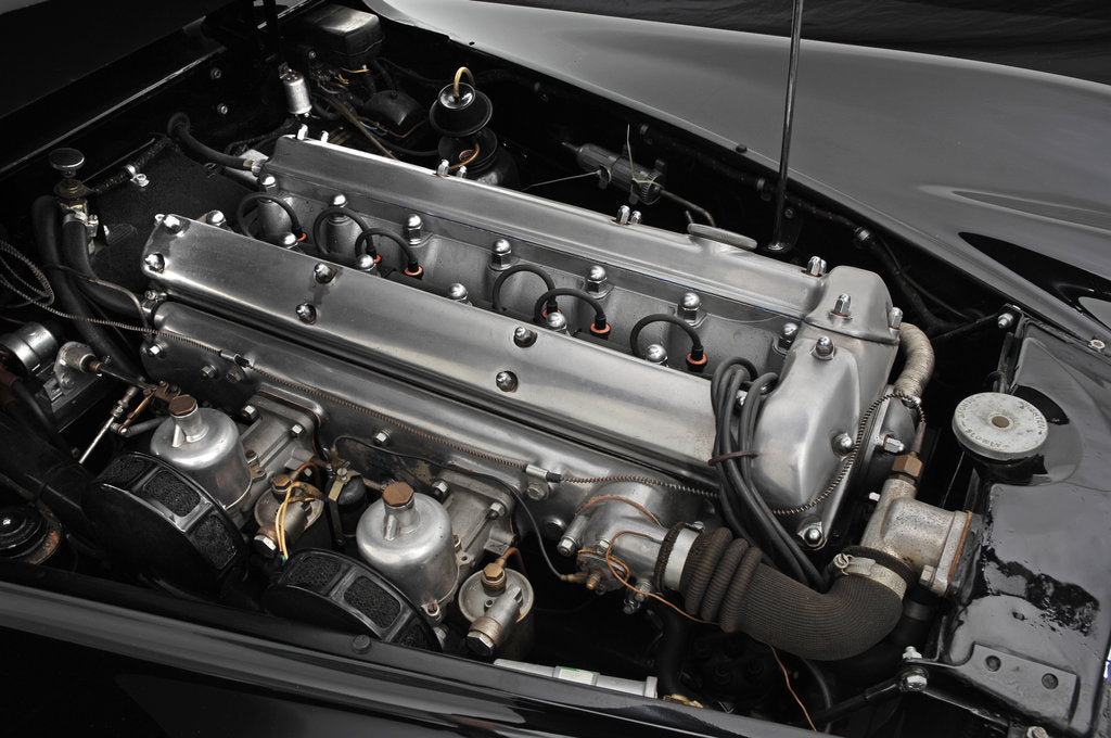 Detail of 1954 Jaguar XK120 SE by Unknown