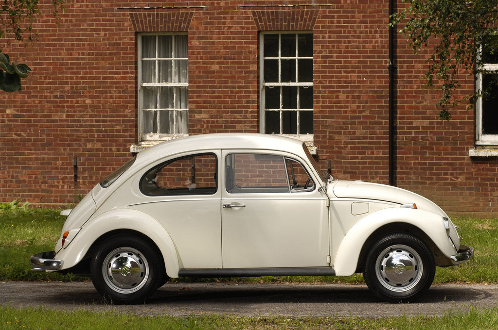 Detail of 1971 Volkswagen Beetle by Unknown