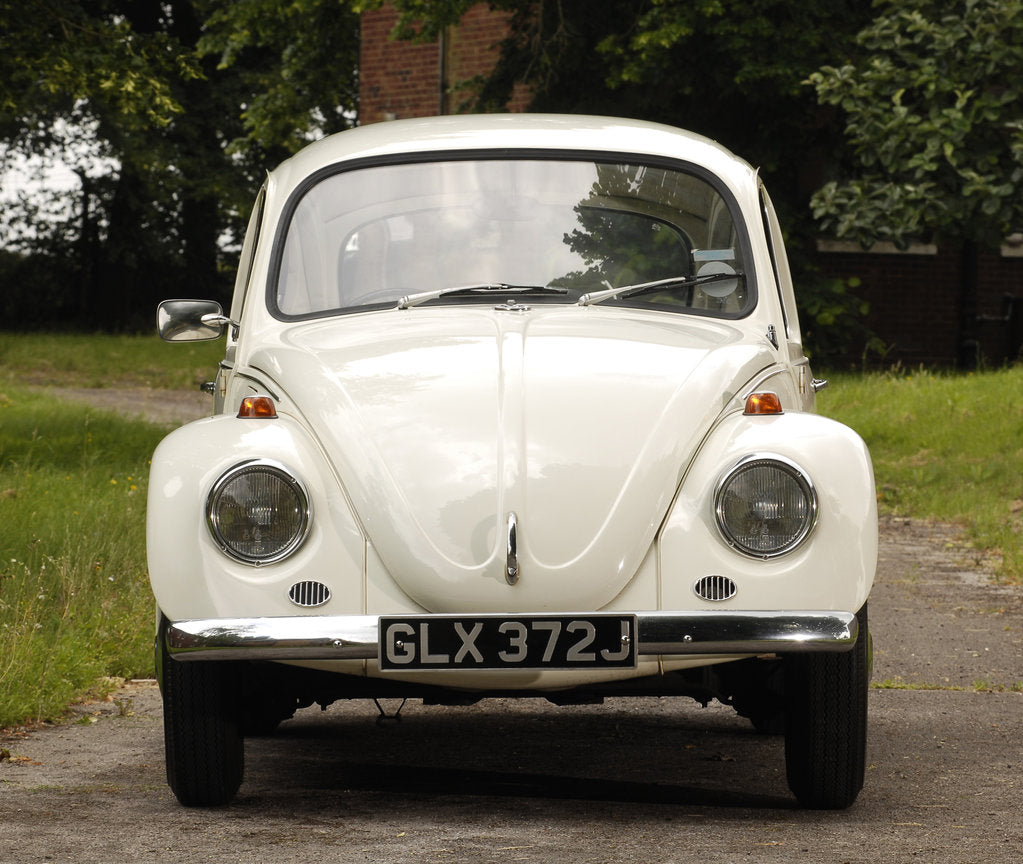 Detail of 1971 Volkswagen Beetle by Unknown