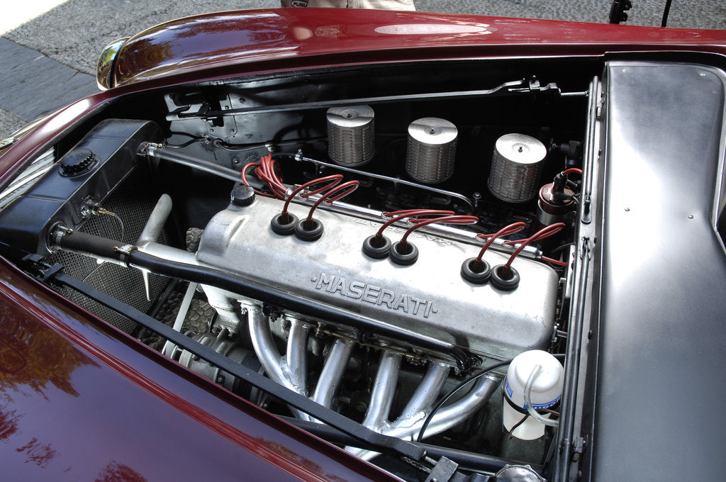Detail of 1949 Maserati 1500 Grand Tourismo by Unknown