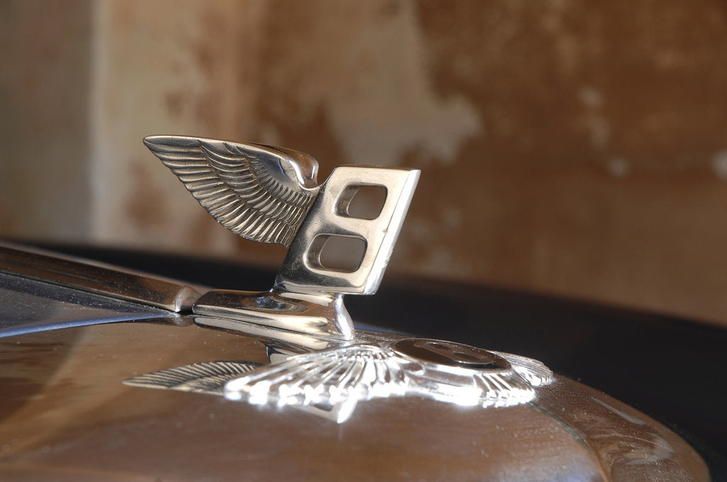 Detail of 1974 Bentley S2 Corniche mascot by Unknown