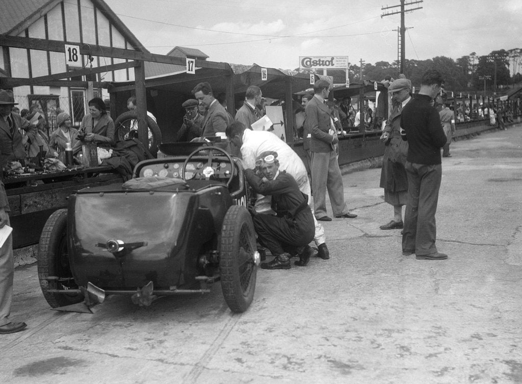 Detail of LCC Relay GP, Brooklands, 25 July 1931 by Bill Brunell