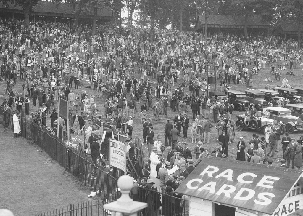 Detail of Crowds attending a motor race at Brooklands by Bill Brunell