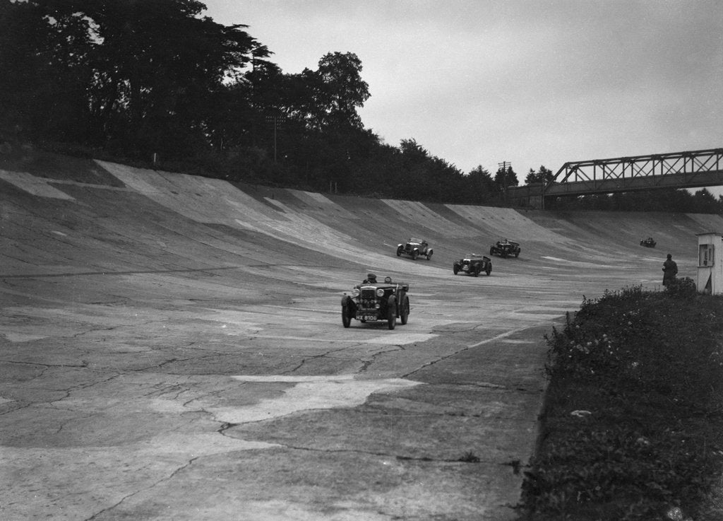 Detail of Cars racing on the Members Banking at a JCC Members Day, Brooklands by Bill Brunell