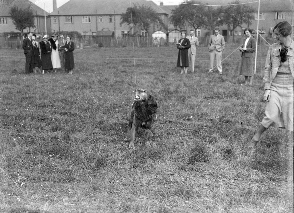 Detail of Standard Car Owners Club Gymkhana, 8 May 1938 by Bill Brunell