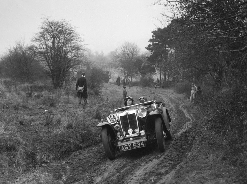 Detail of MG Magna of AJV Merritt at the Sunbac Colmore Trial, near Winchcombe, Gloucestershire, 1934 by Bill Brunell