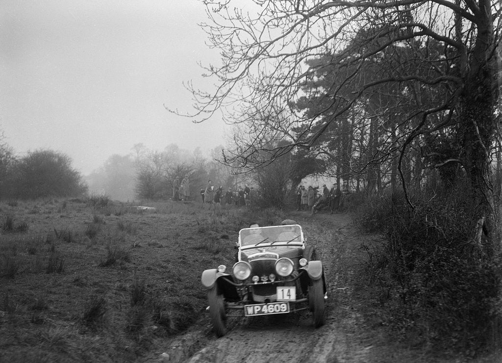 Detail of Frazer-Nash TT replica of NV Terry, Sunbac Colmore Trial, near Winchcombe, Gloucestershire, 1934 by Bill Brunell