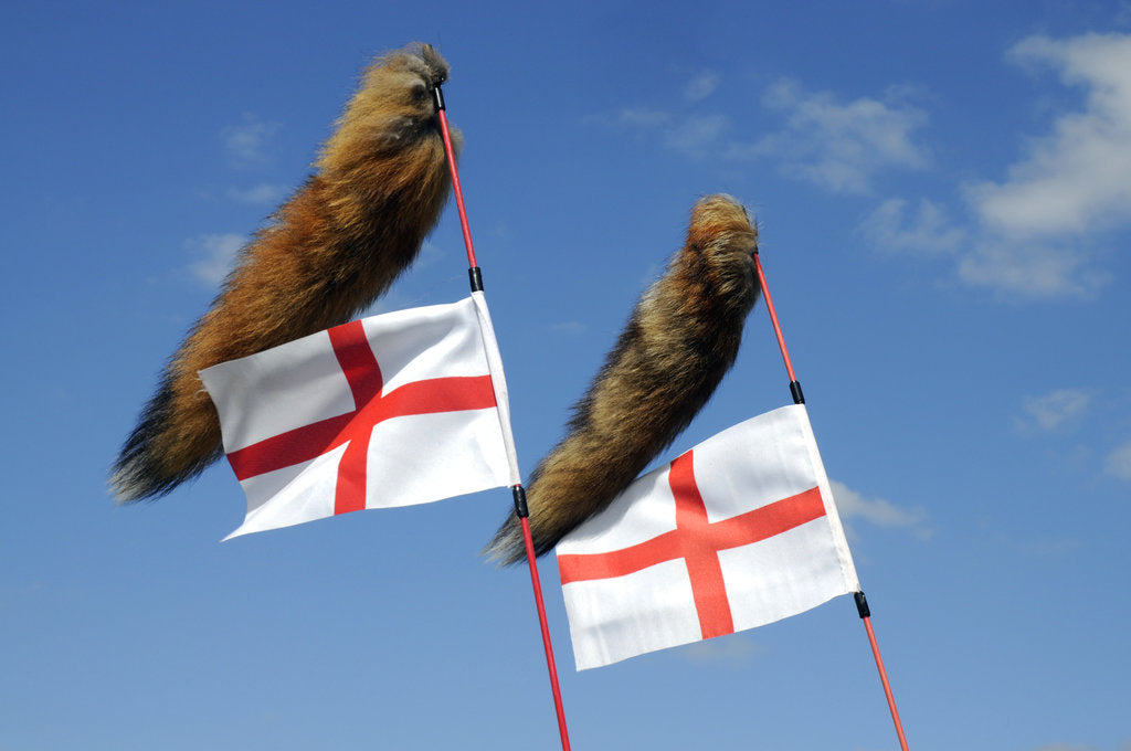 Detail of Tiger tail mod accessories on scooter by Unknown
