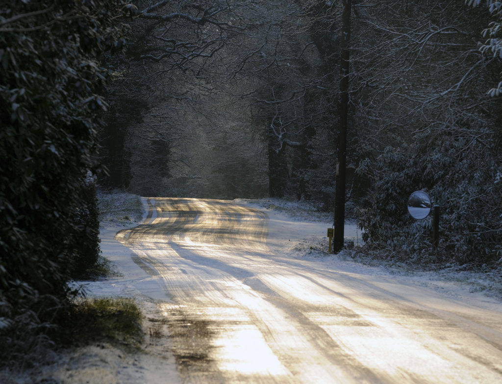 Detail of Sun glinting off an icy road in the New Forest 2009 by Unknown