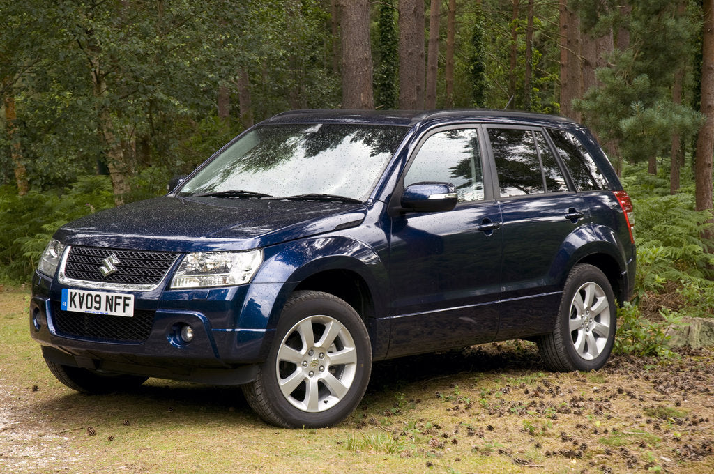 Detail of 2009 Suzuki Grand Vitara by Unknown