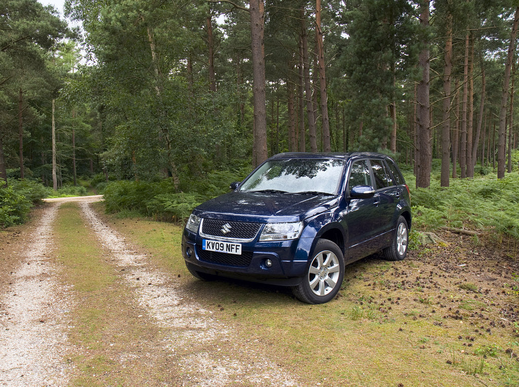 Detail of 2009 Suzuki Grand Vitara by Unknown