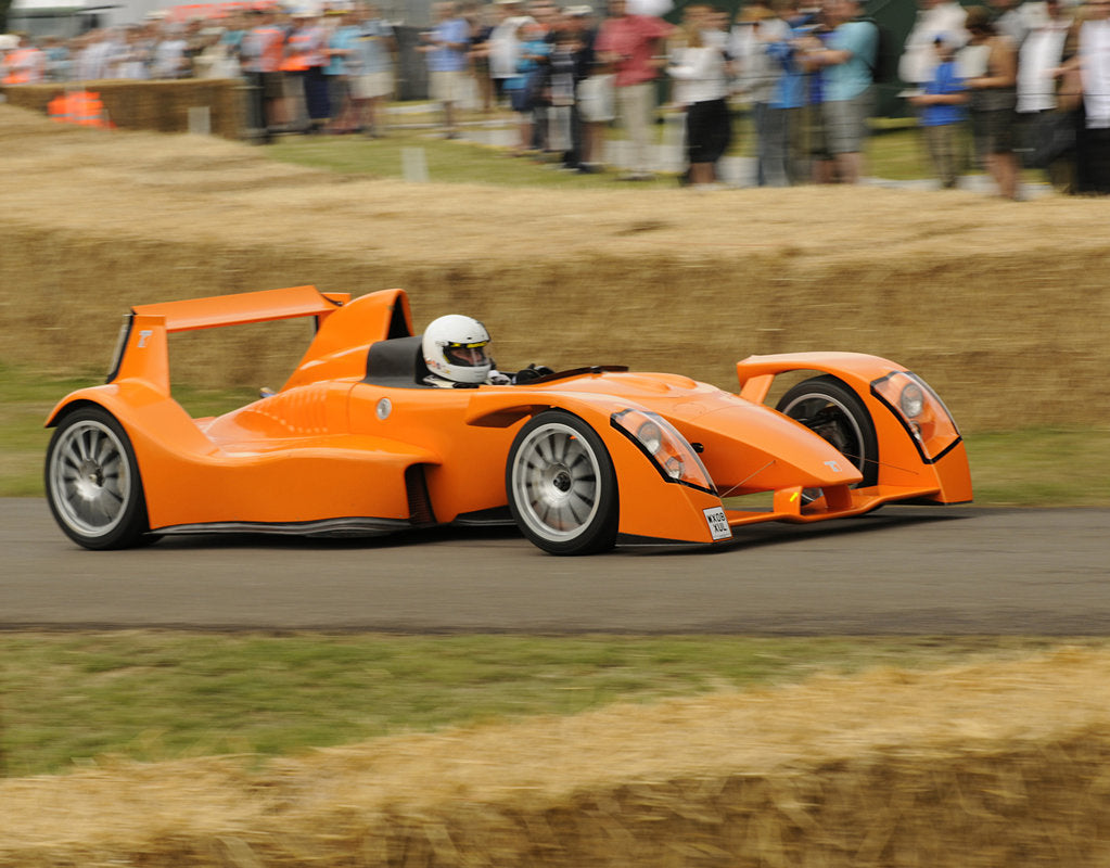 Detail of 2009 Caparo T1 at 2009 Goodwood Festival of speed by Unknown