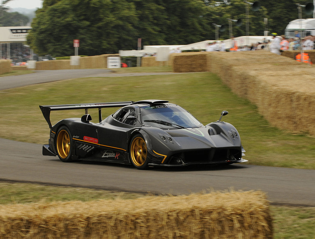 Detail of 2009 Pagani Zonda R, Goodwood Festival of Speed by Unknown