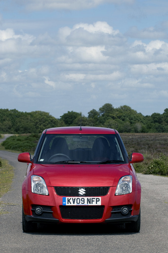 Detail of 2009 Suzuki Swift Sport by Unknown