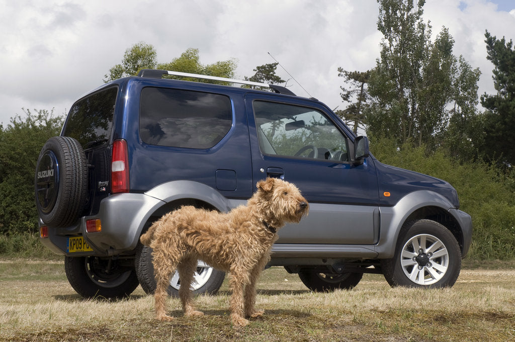 Detail of 2009 Suzuki Jimny SZ4 with pet dog by Unknown
