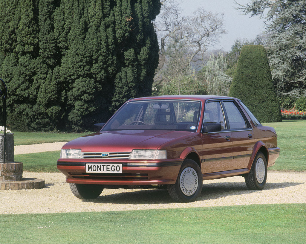 Detail of 1984 Austin Montego by Unknown
