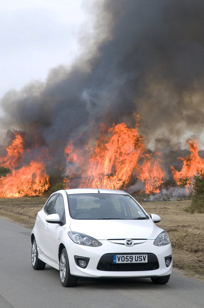 Detail of 2010 Mazda 2 Sport, controlled burning in New Forest by Unknown