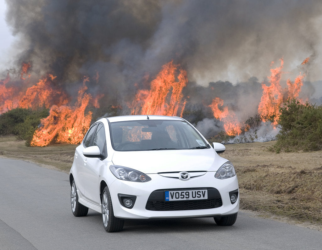 Detail of 2010 Mazda 2 Sport, controlled burning in New Forest by Unknown