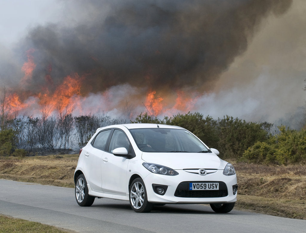 Detail of 2010 Mazda 2 Sport, controlled burning in New Forest by Unknown