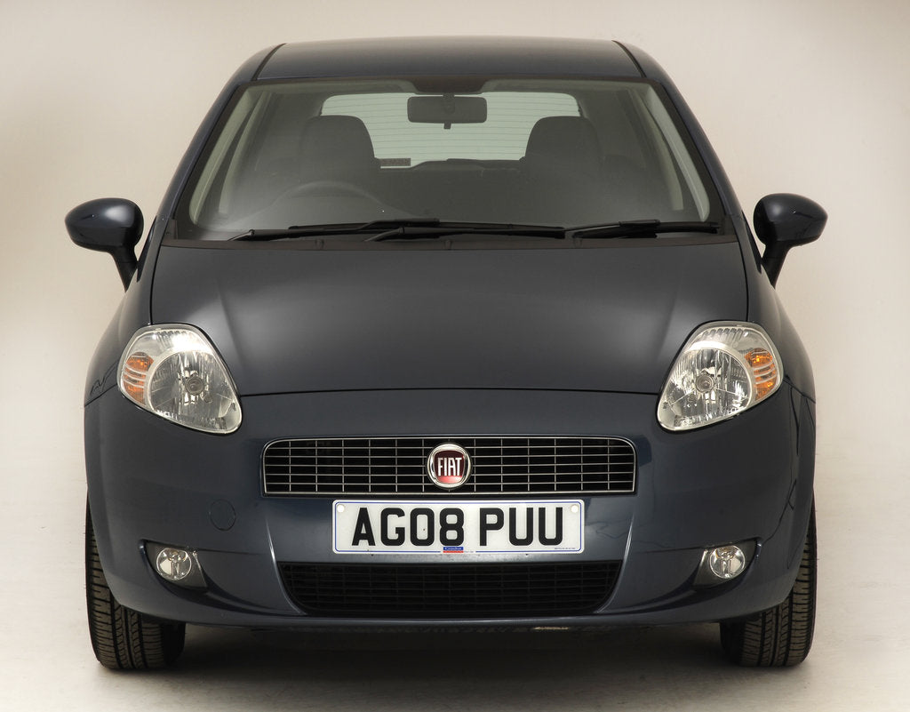 Detail of 2008 Fiat Punto by Unknown